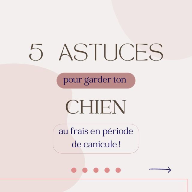 Avec l’arrivée des températures élevées, il est essentiel de veiller au bien-être de ton chien pour qu’il reste en bonne santé et confortable pendant l’été. 🩷

Voici quelques gestes simples à mettre en place pour que ton chien n’ai pas trop chaud en période de canicule ☀️ 💦
Bonne lecture ! 🐕

N’hésite pas à partager tes conseils dans les commentaires ! ⬇️
.
.
.
.
.
.
.
.
.
.
#canicule #bienetrecanin #chaleur #rafraichirchien #été #conseilspourchiens  #caonseilscanin #dogcare #chienenété