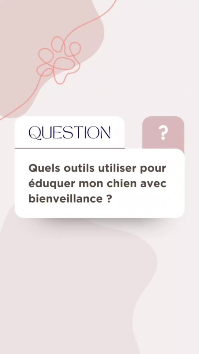 Quels outils utiliser pour éduquer mon chien ? 🤔

Si tu veux construire une relation saine et durable avec ta boule de poil, le plus important est de le respecter. 🙏
Dis adieu aux méthodes coercitives qui, en plus de détruire ta relation avec ton chien, peuvent créer ou aggraver des comportements indésirables. 🙅

Partage, like et commente pour me soutenir. 🐕‍🦺💕
.
.
.
.
.
.
.
.
.
.
#monamilechien #educationbienveillante #educationpositive #respect #amourdechien #chienheureux #educationcanine #educateurcaninessonne