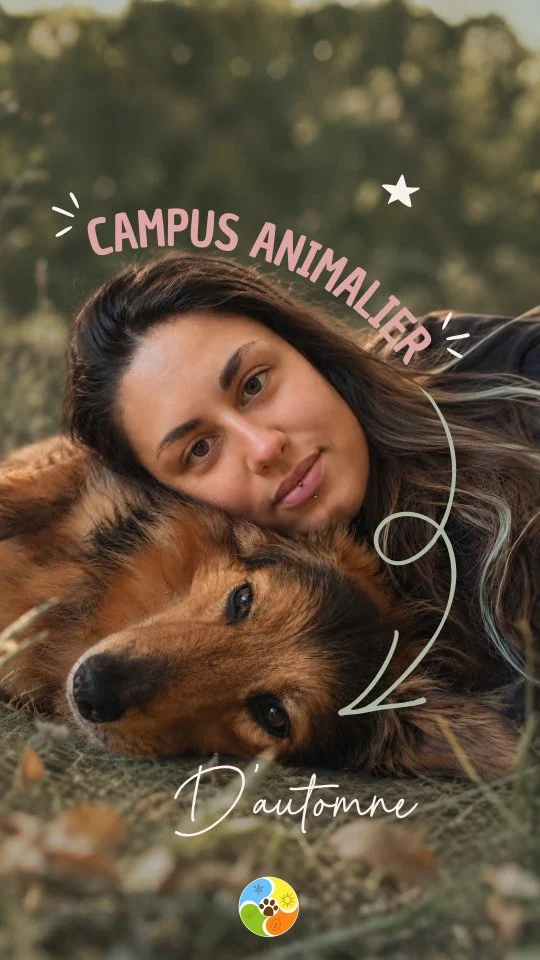 🍂 3 jours pour accompagner toutes les transitions !! 🍂

Que tu sois en pleine création d'entreprise ou que tu veuilles développer l'existant, le **Campus Animalier d'automne** c'est 3 jours en visio pour partager, échanger et avancer ENSEMBLE 🤝

🎥 Du direct, comme un séminaire en présentiel
✨ Une expérience immersive où tu es aussi acteurice de l'événement
🎤 Des conférences, mais aussi des ateliers, des témoignages et… une table ronde pour débattre !

On va causer bien-être animal 🐾 ET bien-être de celles et ceux qui œuvrent au quotidien pour les animaux 💛

👉 Toutes les infos et le programme  sur @campus_animalier

💬 Et pose toutes tes questions directement en MP !