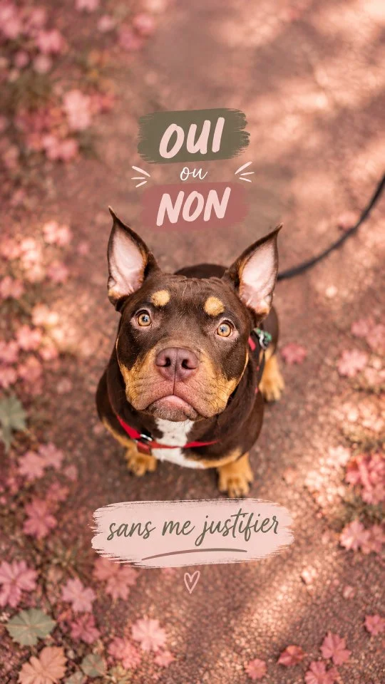 Et toi c'est quoi ton avis sans te justifier ? 😋

Des sujets que je n'ai pas mentionné ? Écrit les en commentaire et je te fais une partie 2 😎